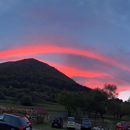 Pensiunea Andalex Otel Zărneşti Dış mekan fotoğraf