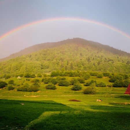 Pensiunea Andalex Otel Zărneşti Dış mekan fotoğraf