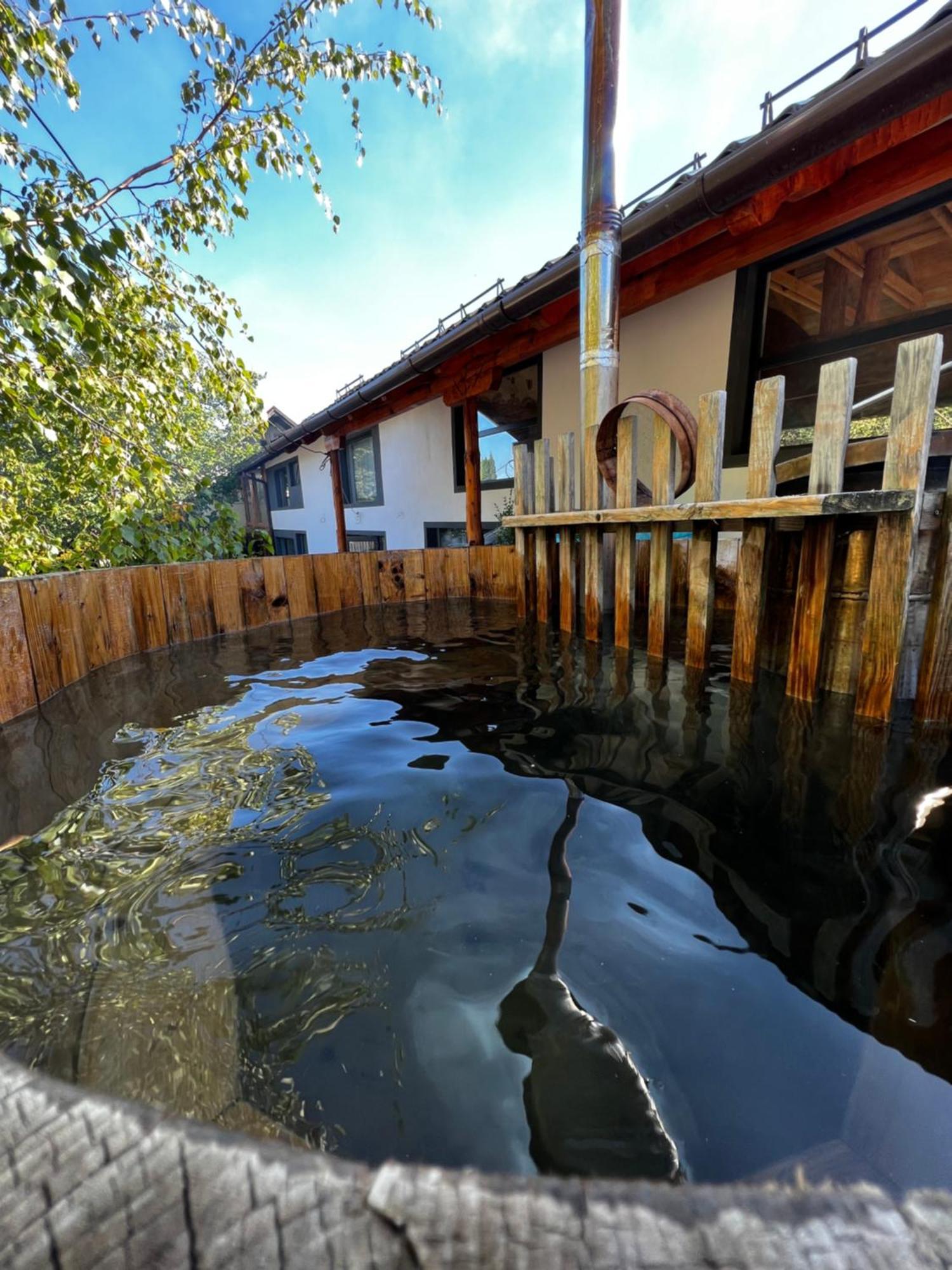 Pensiunea Andalex Otel Zărneşti Dış mekan fotoğraf