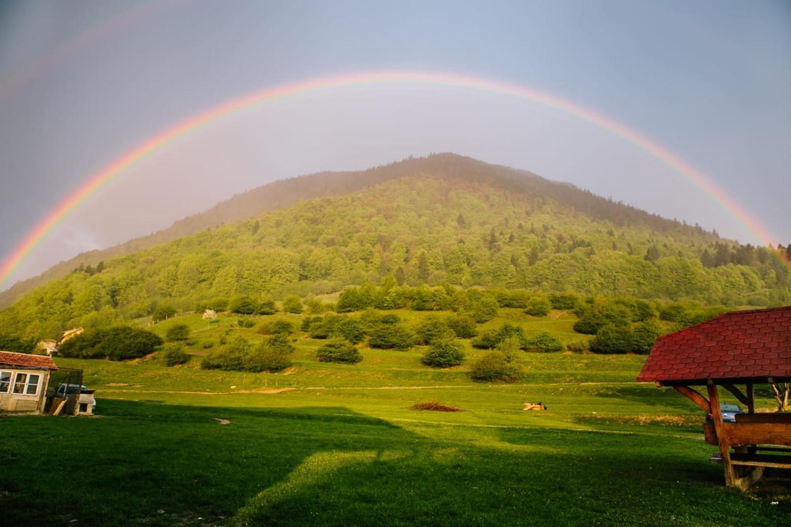 Pensiunea Andalex Otel Zărneşti Dış mekan fotoğraf