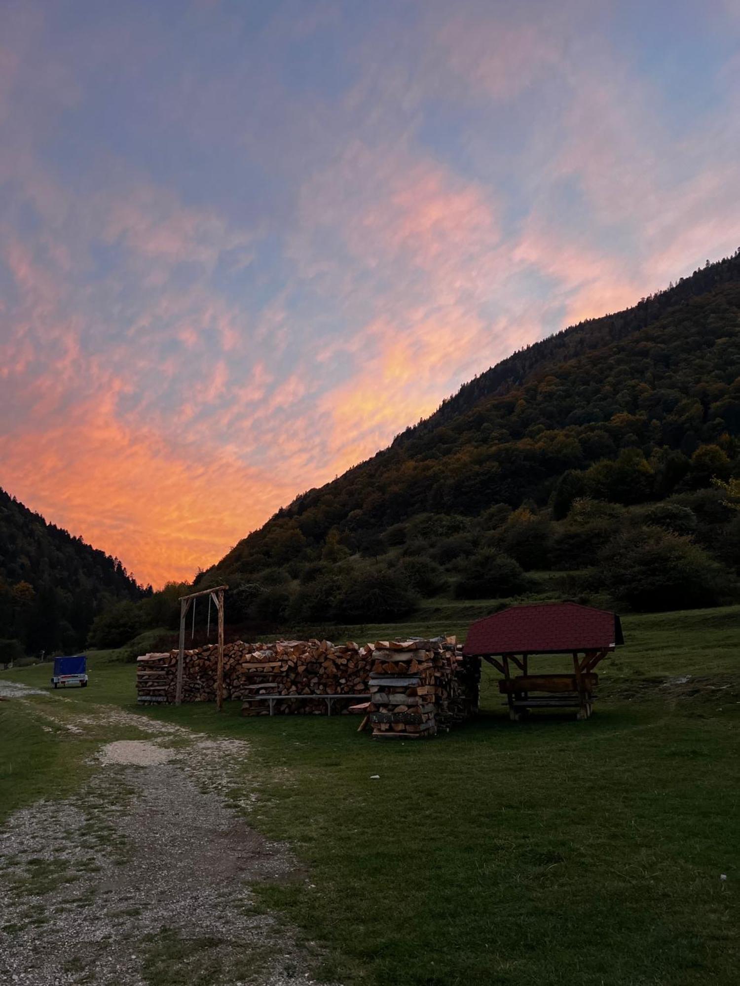 Pensiunea Andalex Otel Zărneşti Dış mekan fotoğraf