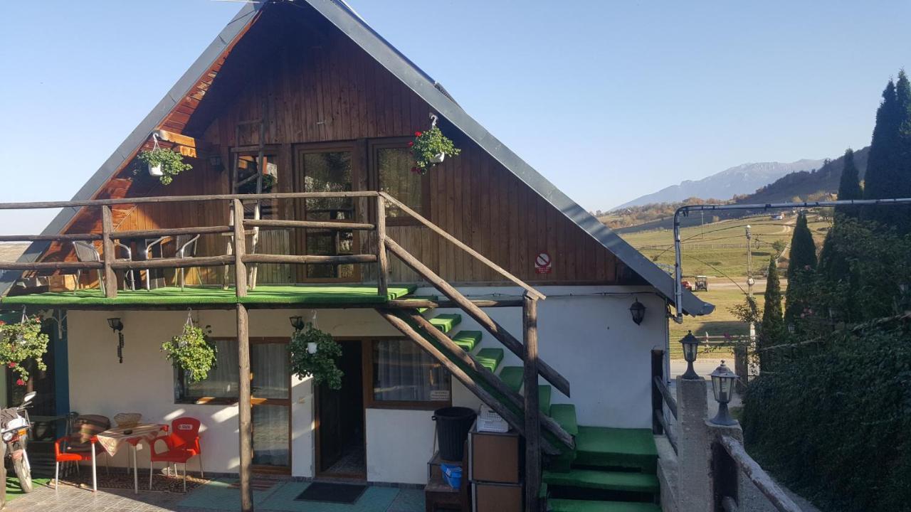 Pensiunea Andalex Otel Zărneşti Dış mekan fotoğraf